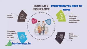 Term Life Insurance Everything You Need to Know